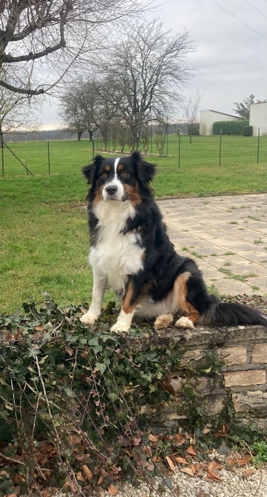 Utopie dark fire de la vallee de francirlange