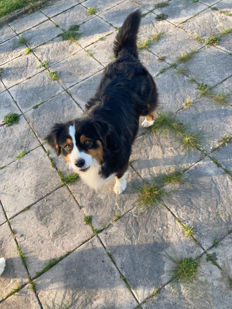 Rio de la vallee de francirlange